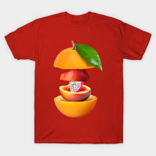 Orange Peach Dragon Fruit Gifts Vegetarian T-Shirt